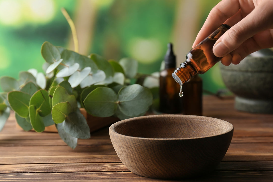 The 6 Most Common Eucalyptus Oil Benefits