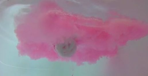 Why Do Bath Bombs Fizz and Are They Good For Your Skin?