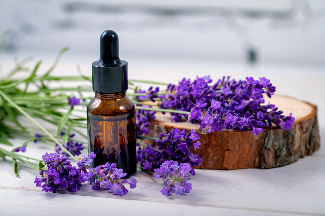 Lavender Oil for Sunburns: Sunburn Relief