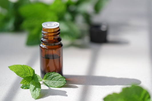 The 6 Most Common Peppermint Oil Benefits